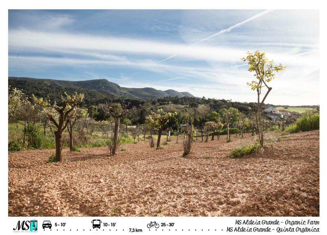 Ms Apartamentos, Setúbal Dış mekan fotoğraf